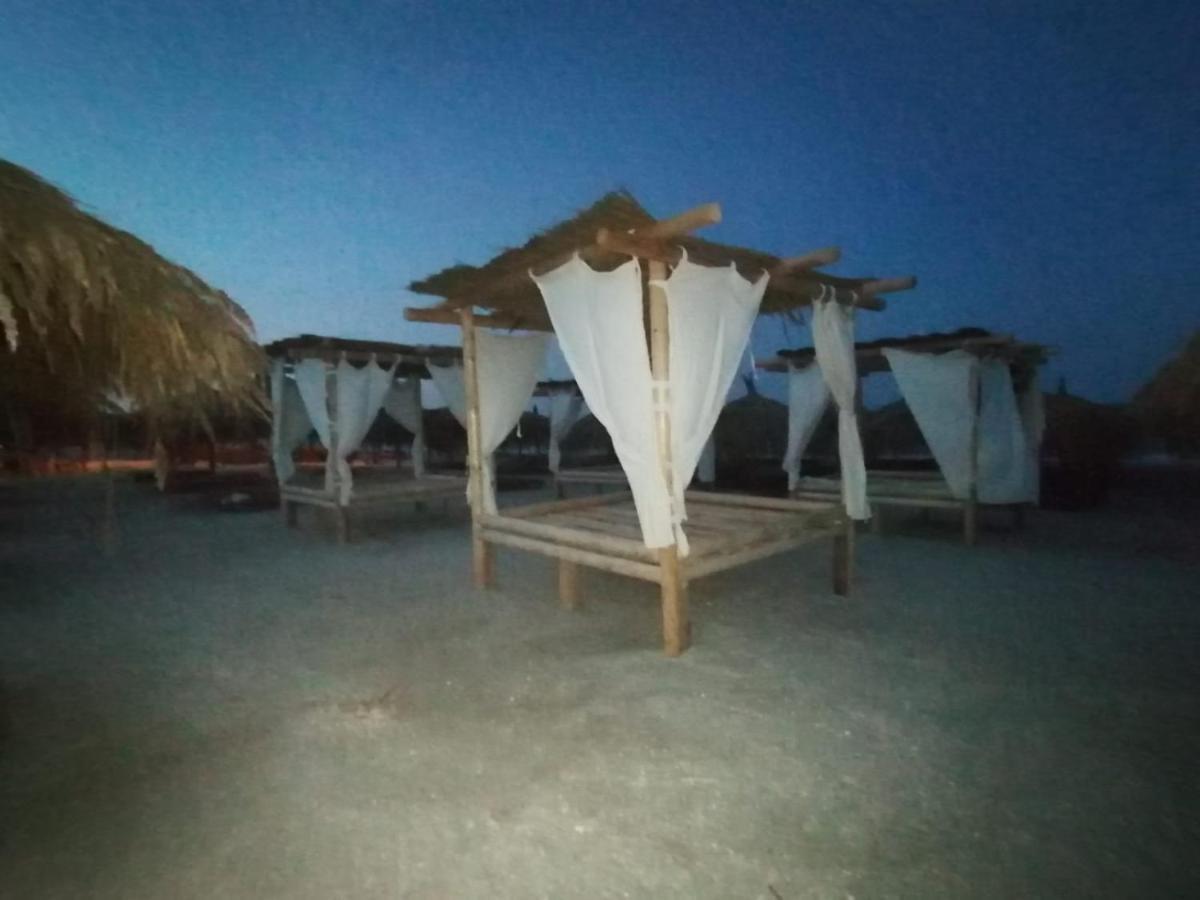 شقة Garsoniera Papaya Beach Năvodari المظهر الخارجي الصورة